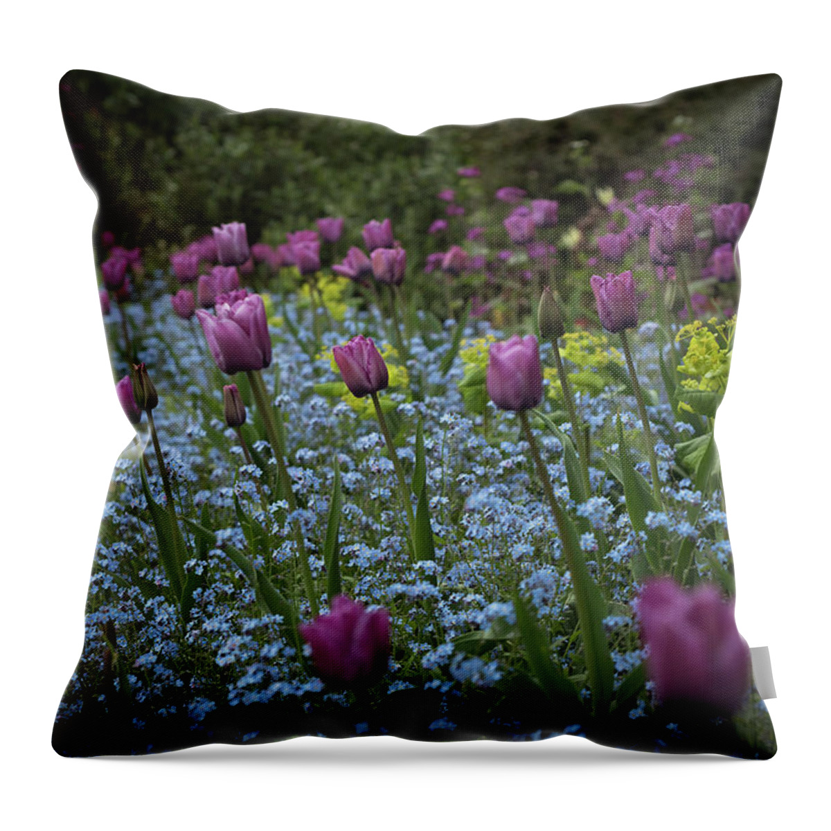 Tulips Throw Pillow featuring the photograph Tulips at Great Dixter Gardens by Perry Rodriguez