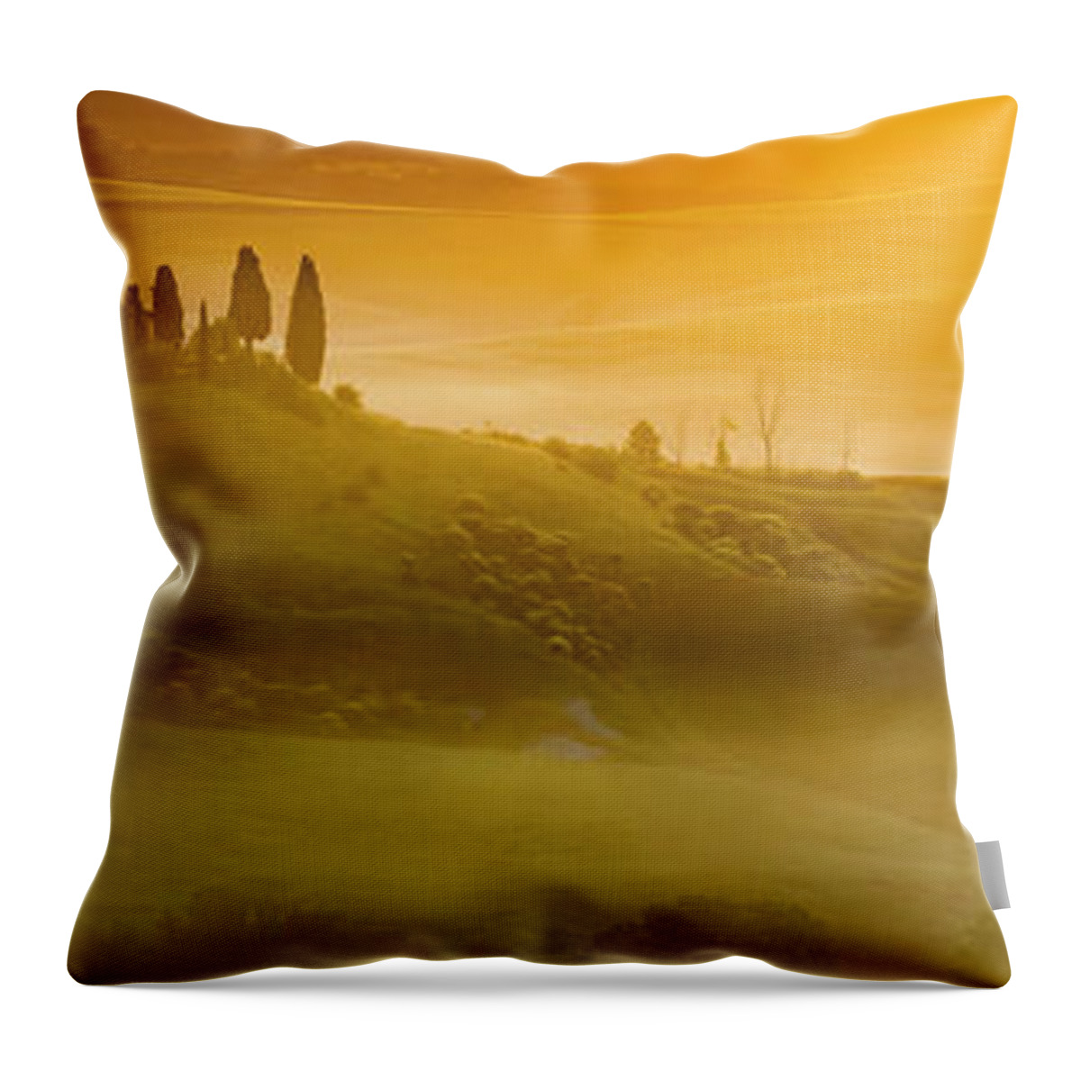 Italy Throw Pillow featuring the photograph Tuscany In Gold by Evgeni Dinev