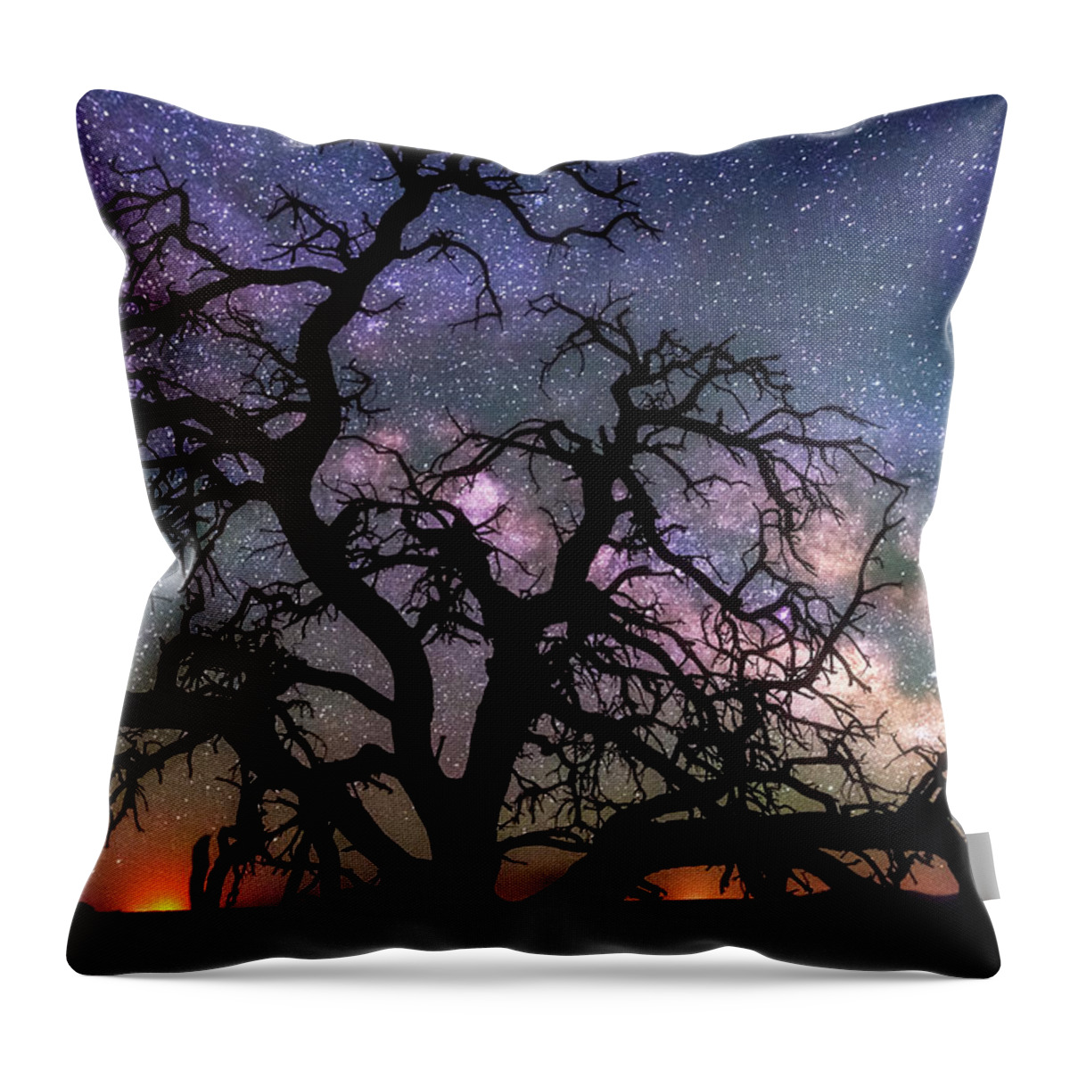 Trees Throw Pillow featuring the photograph Twisted Universe by Darren White
