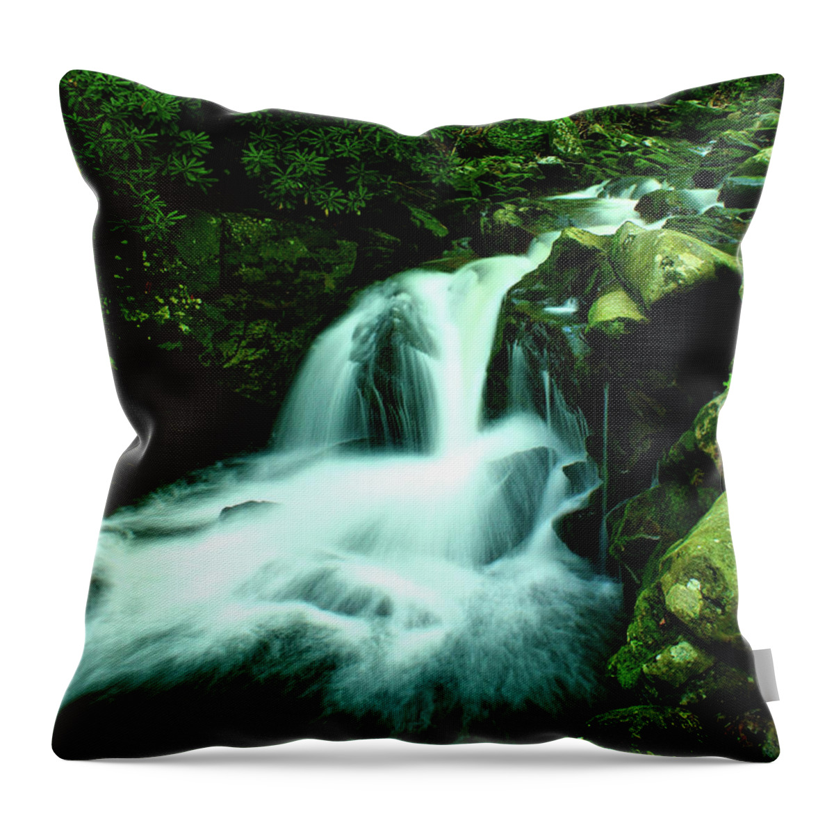 Color Throw Pillow featuring the photograph Upper Lynn Camp Prong Cascades by Nunweiler Photography
