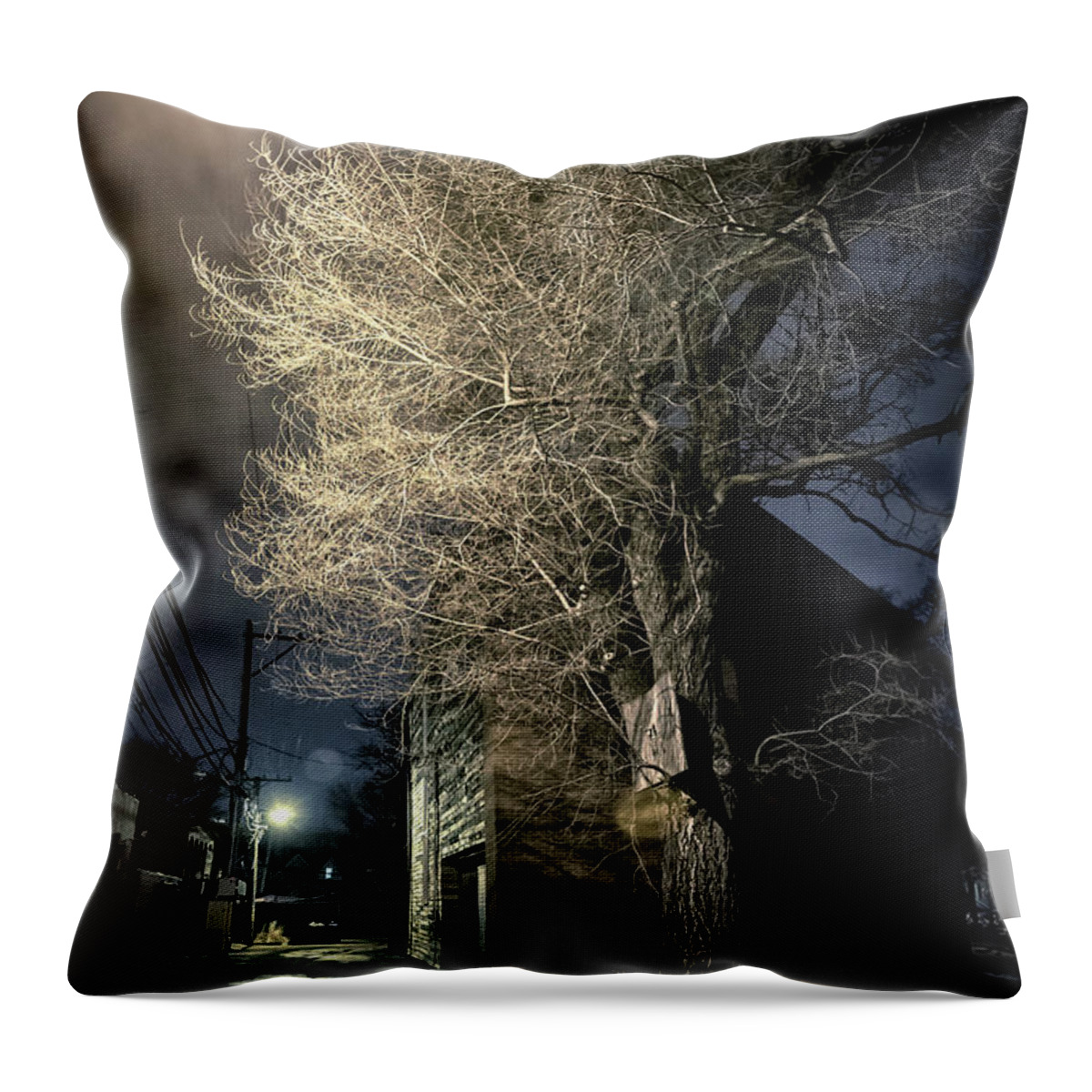 Alley Throw Pillow featuring the photograph If Trees could Talk by Bruno Passigatti