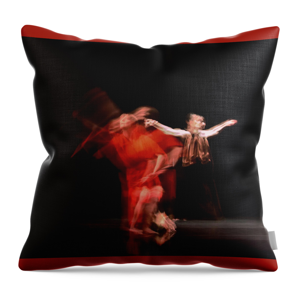 Crychord Throw Pillow featuring the photograph Visitation 2 by Catherine Sobredo