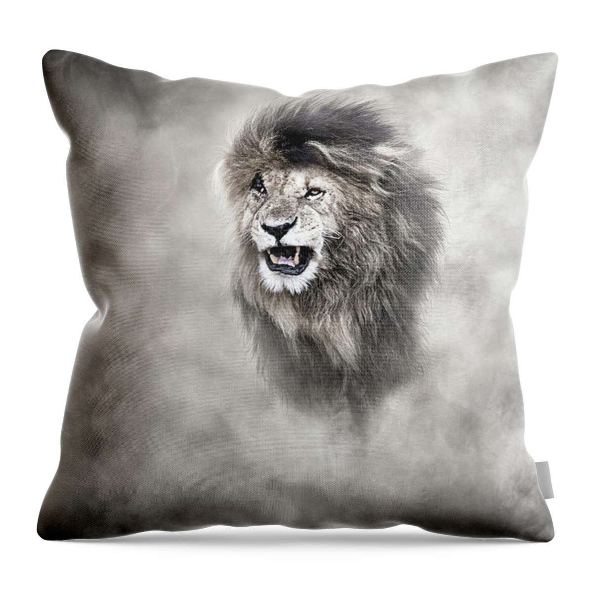 Lion Throw Pillow featuring the photograph Vulnerable African Lion In The Dust by Good Focused