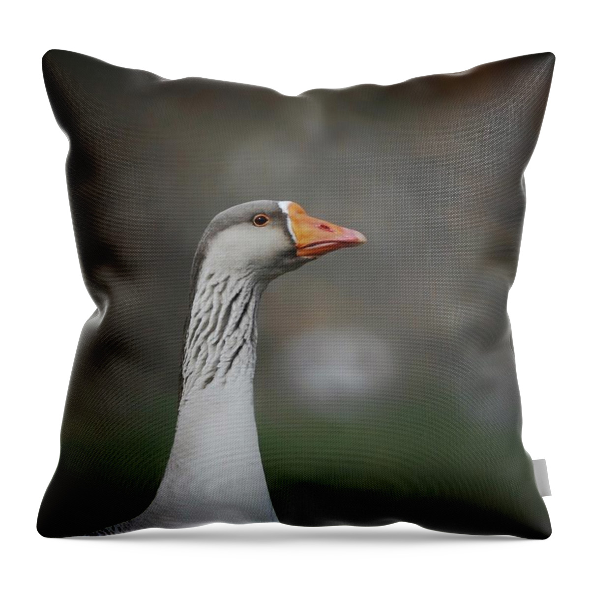  Throw Pillow featuring the photograph Watching by DArcy Evans