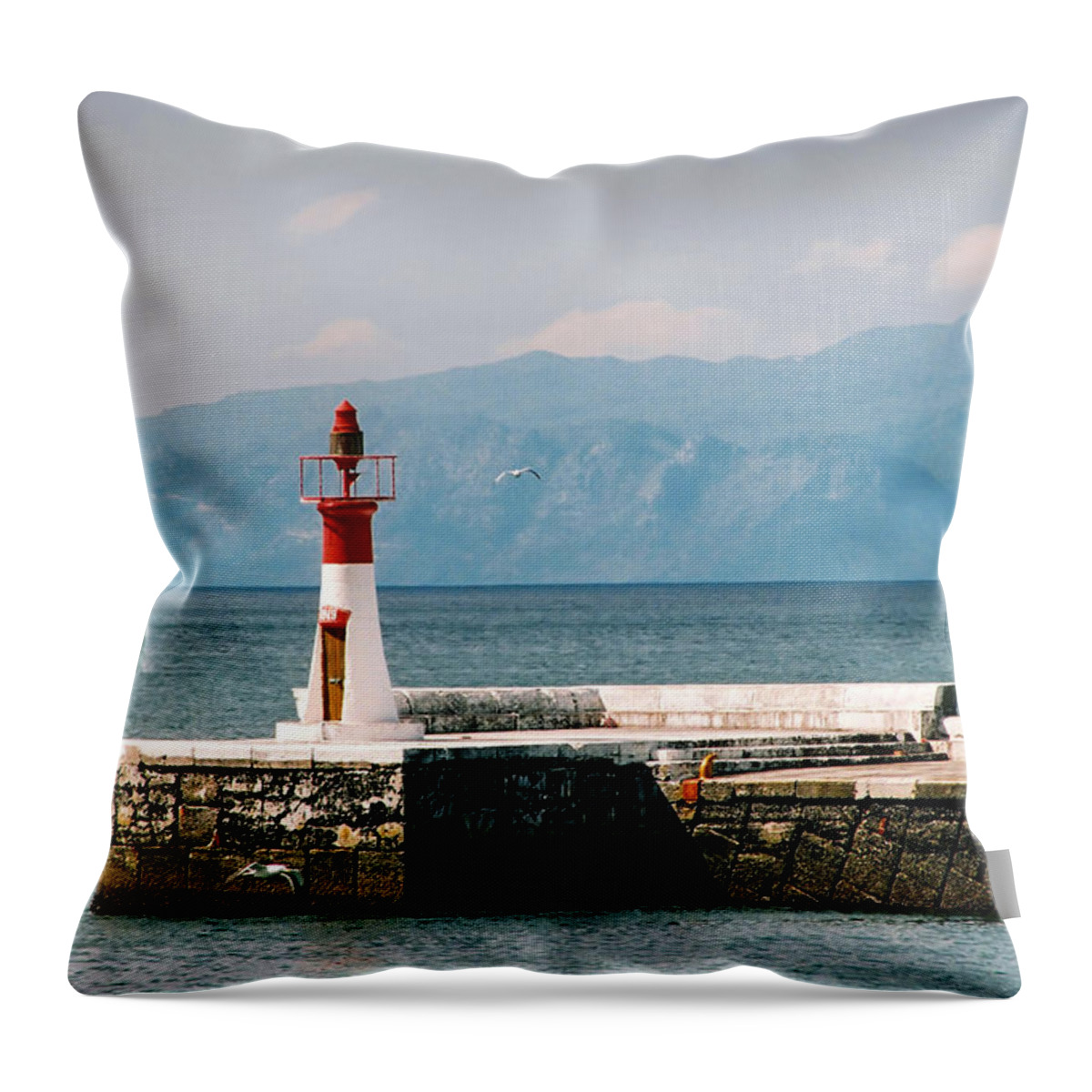 Whale Throw Pillow featuring the photograph Whale Breaching by Andrew Hewett