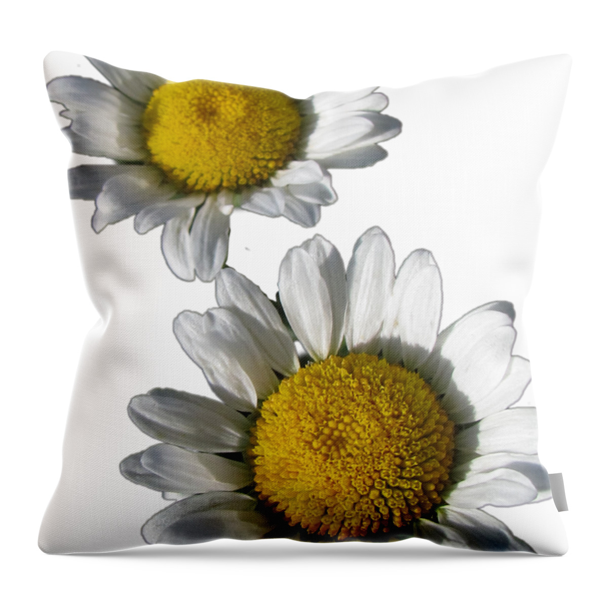 White Daisies Throw Pillow featuring the photograph White Daisies Flower Best for Shirts by Delynn Addams