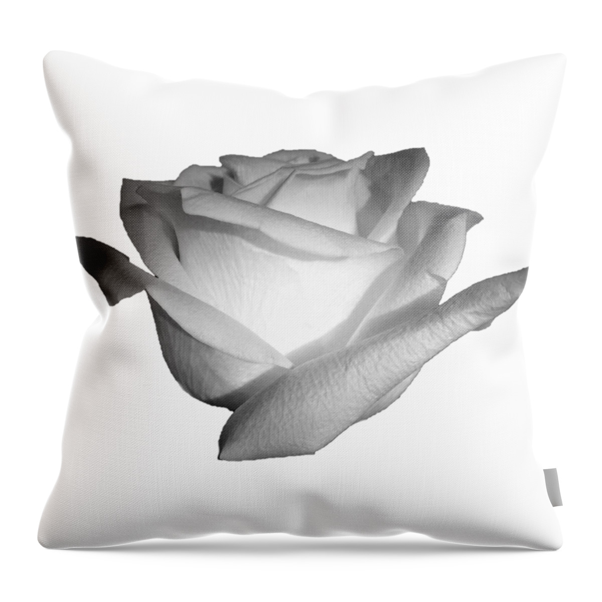 White Throw Pillow featuring the photograph White Rose Cropped Best for Shirts by Delynn Addams