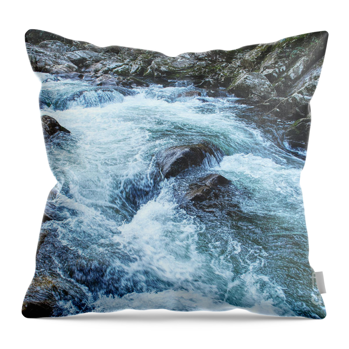 Photography Throw Pillow featuring the photograph White Water Rapids by Phil Perkins