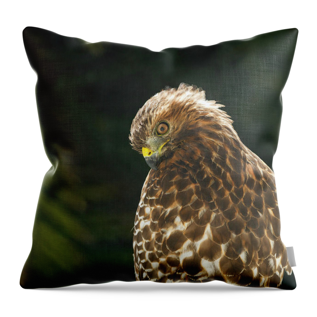 Who Ya Lookin At Throw Pillow featuring the photograph Who Ya Lookin At by Bonnie Follett