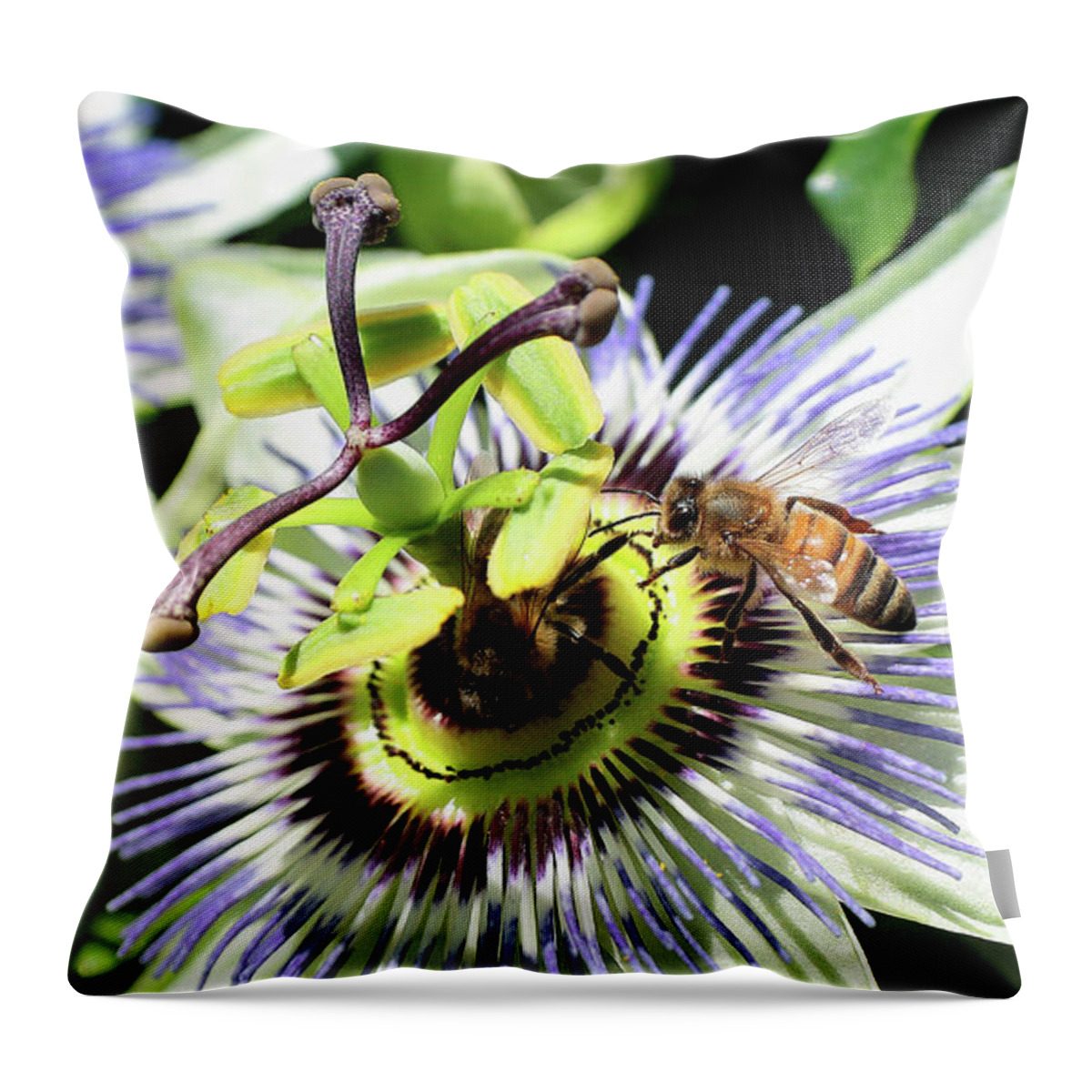Wild Passion Flower Throw Pillow featuring the digital art Wild passion flower 001 by Kevin Chippindall