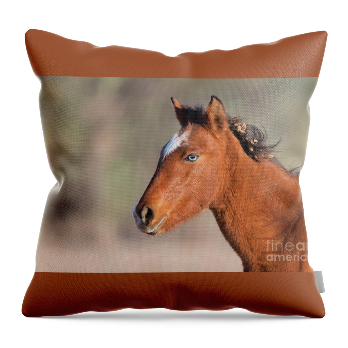 Blue Eye Throw Pillow featuring the photograph Wild Portrait by Shannon Hastings