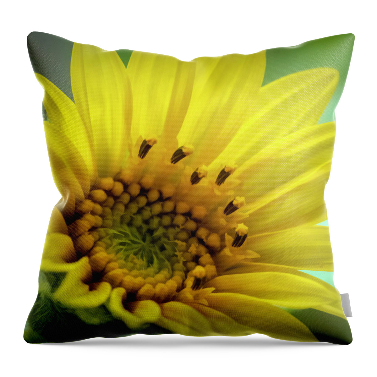 Sunflower Throw Pillow featuring the photograph Wild Sunflower by Cathy Kovarik