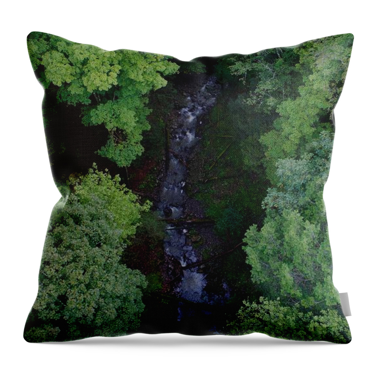 Will Run Creek Throw Pillow featuring the photograph Willow Run Creek by Anthony Giammarino