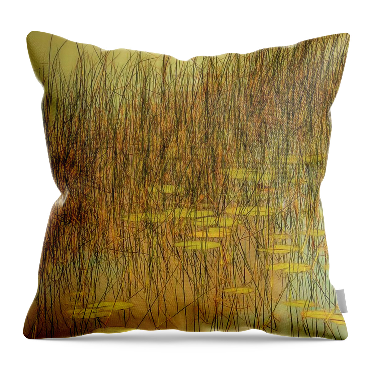  Throw Pillow featuring the photograph Willow Song by Hugh Walker