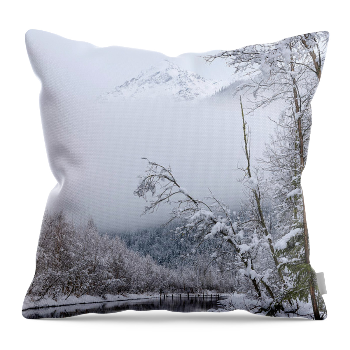 Alaska Throw Pillow featuring the photograph Winter by Chad Dutson