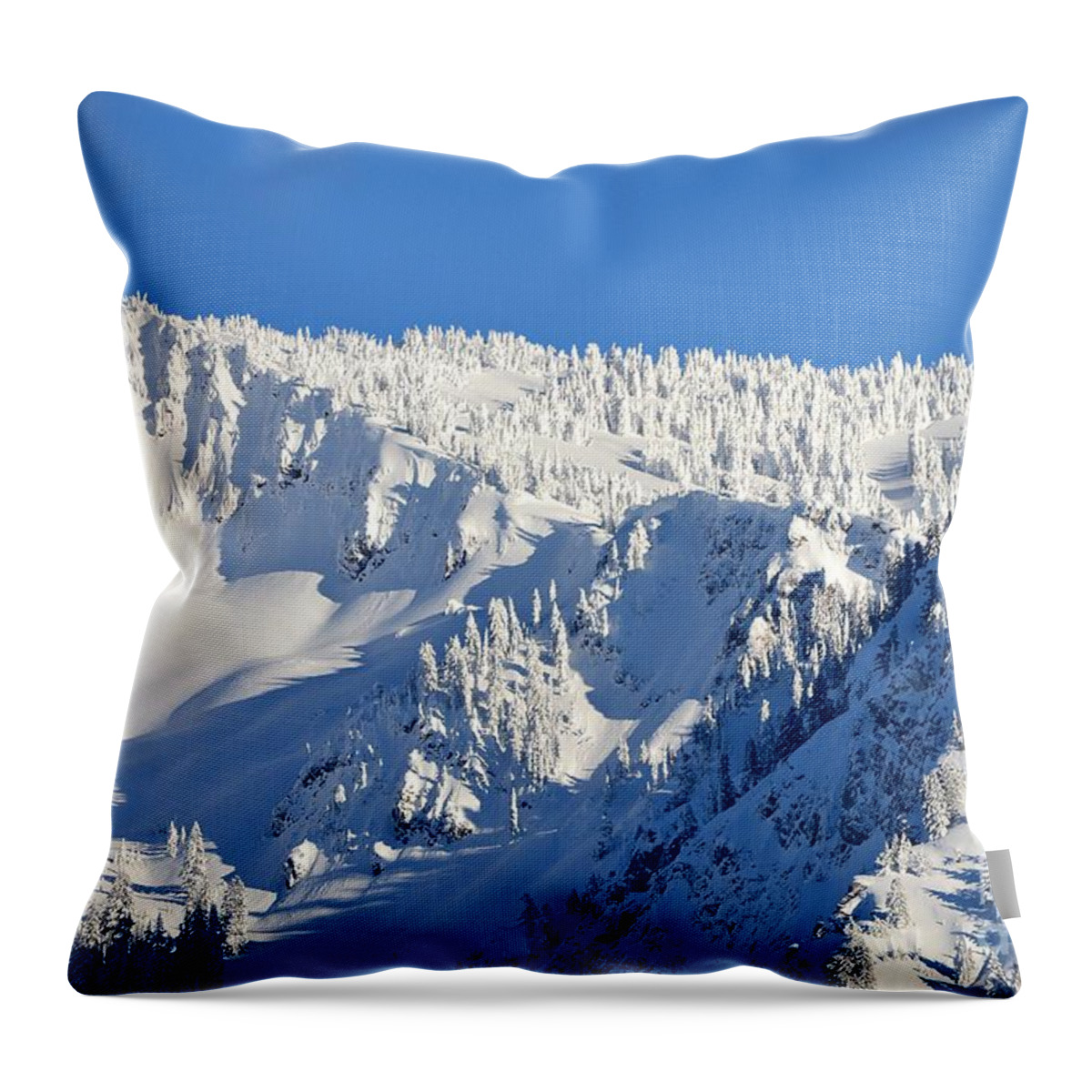 Snow Throw Pillow featuring the photograph Winter by Dorrene BrownButterfield