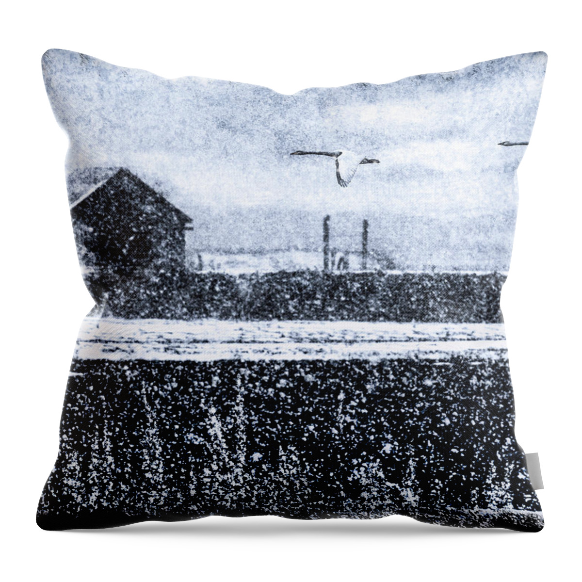 Winter Throw Pillow featuring the digital art Winter Swans by Ken Taylor