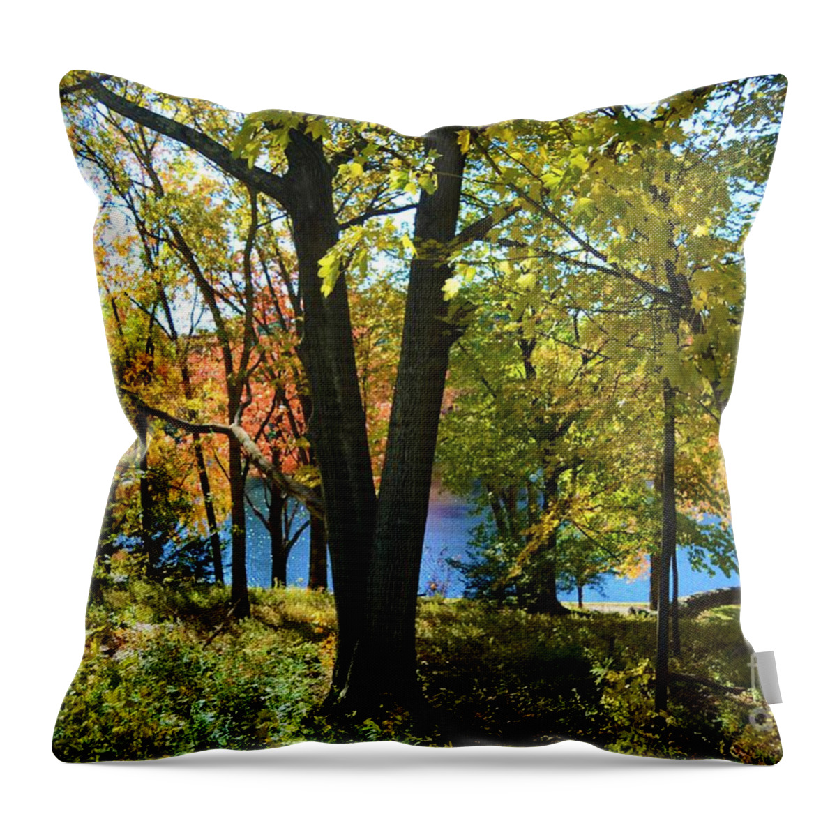 Trees Throw Pillow featuring the photograph With Trees and Water by Dani McEvoy