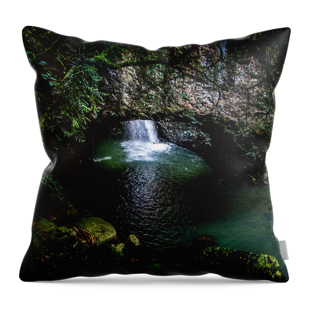 Gold Coast Australia Throw Pillow featuring the photograph Wonderland by Az Jackson