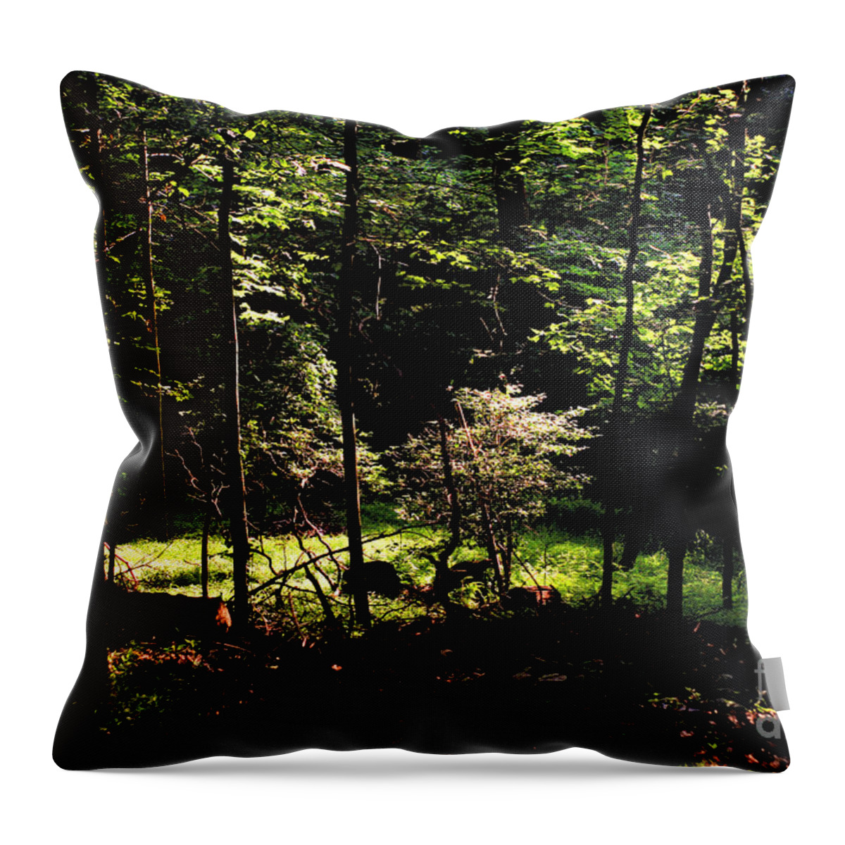 Forest Throw Pillow featuring the photograph Woodland Calm - No. 17 by Steve Ember