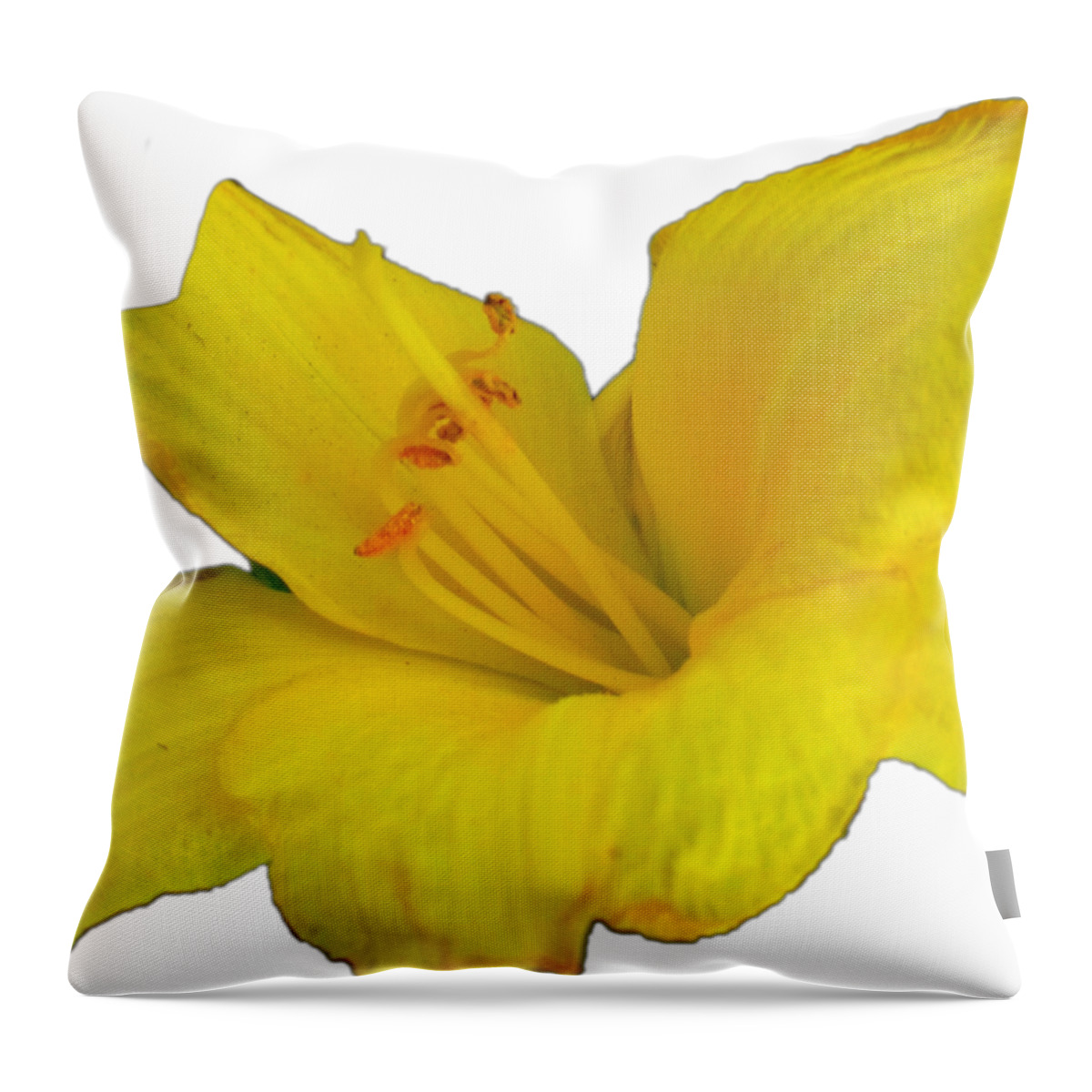 Yellow Throw Pillow featuring the photograph Yellow Lily Flower Photograph Best for Shirts by Delynn Addams