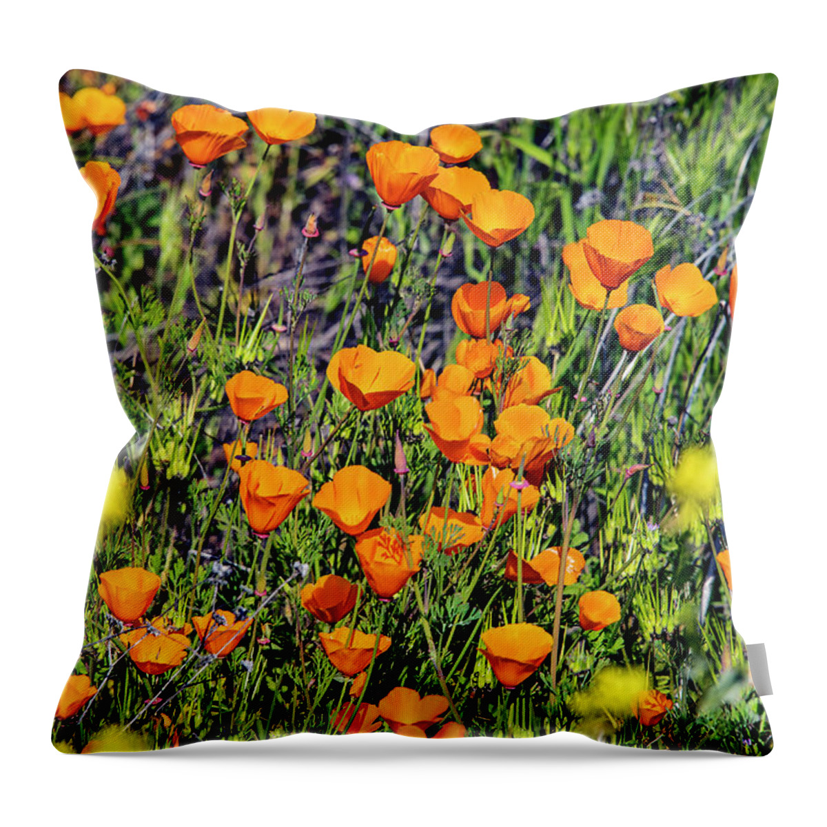 Yellow Poppies Of California Throw Pillow featuring the photograph Yellow Poppies of California by Mae Wertz