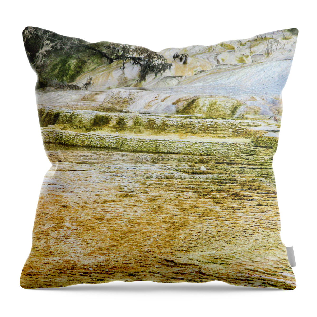 National Parks And Monuments Throw Pillow featuring the photograph Yellowstone 4 by Segura Shaw Photography