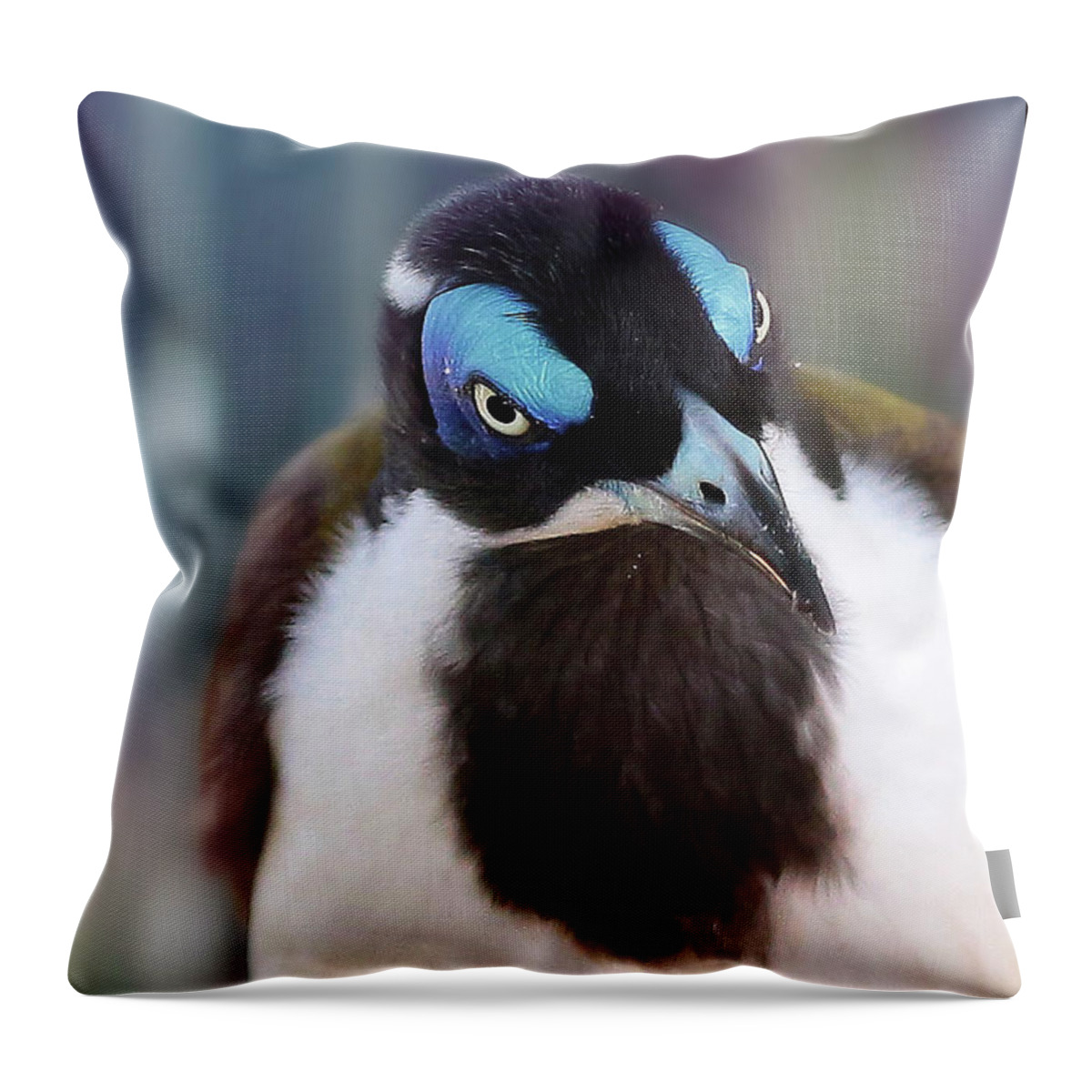 Blue Face Honey Eater Throw Pillow featuring the digital art Yum chocolate cookies 01 by Kevin Chippindall