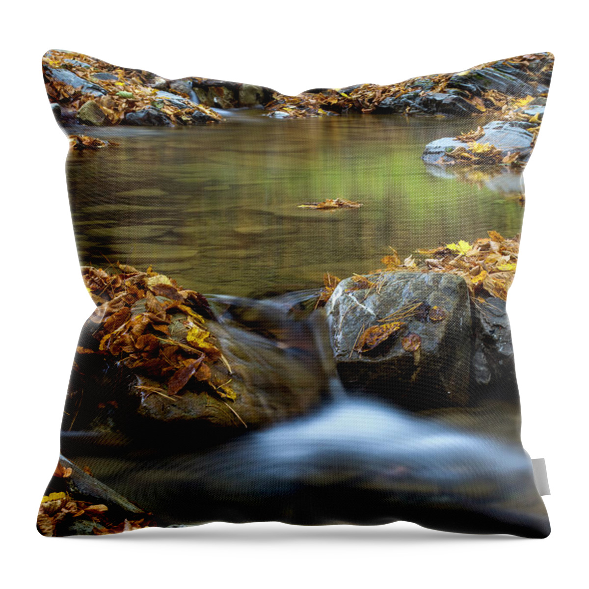 Water Throw Pillow featuring the photograph A little cascade in the Carpathian Mountains in fall season by Sebastian Radu