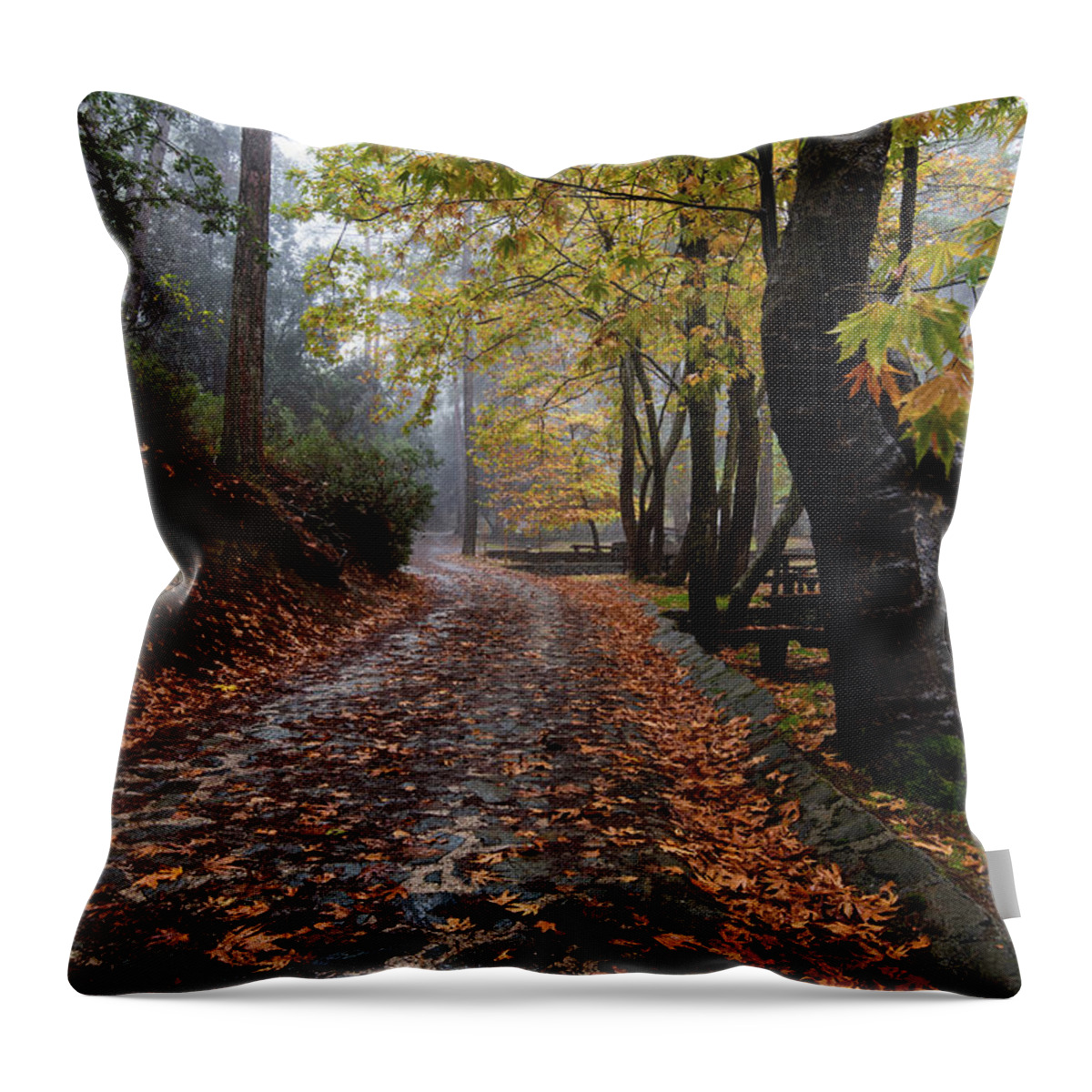 Autumn Throw Pillow featuring the photograph Autumn landscape with trees and Autumn leaves on the ground after rain by Michalakis Ppalis