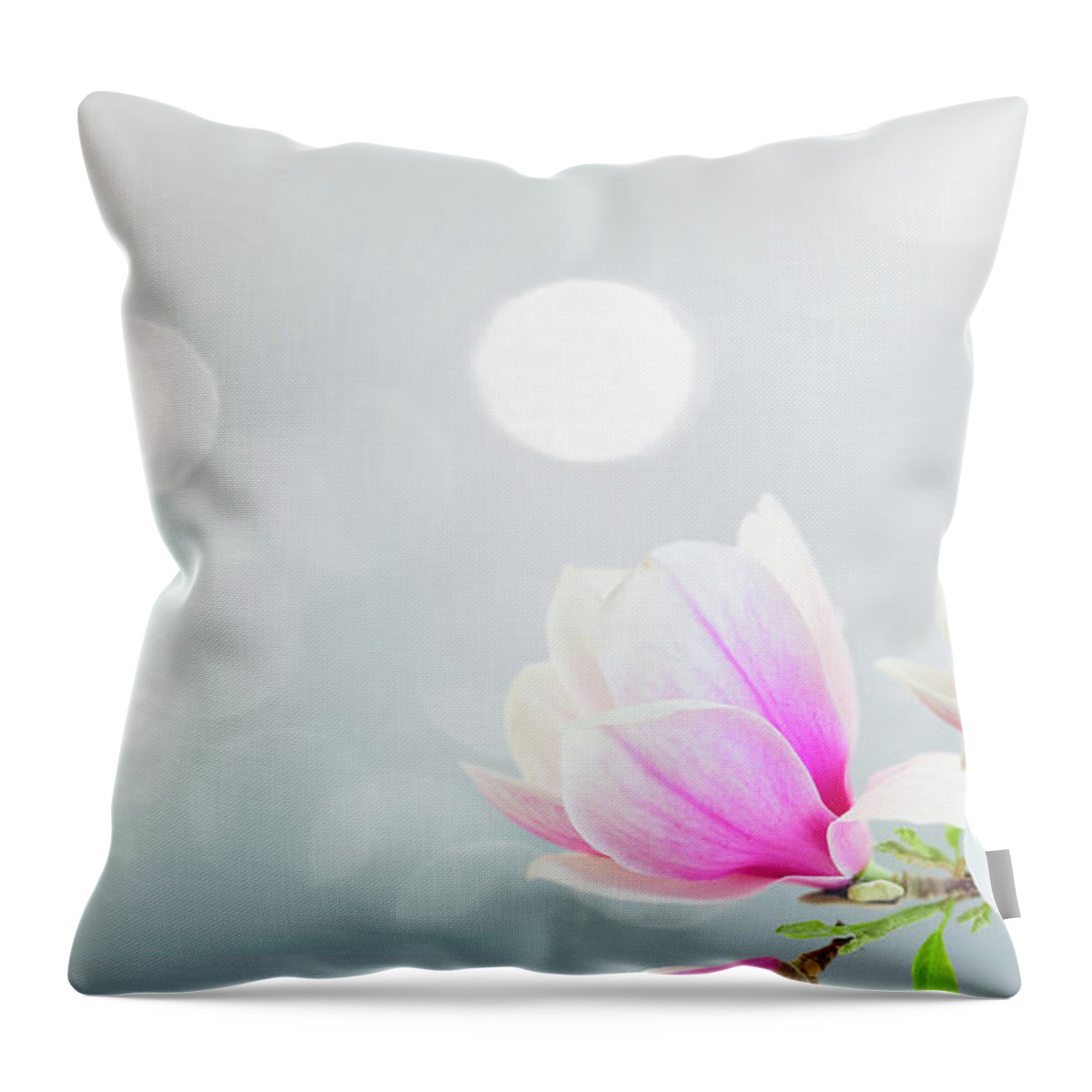 Magnolia Throw Pillow featuring the photograph Blossoming Pink Magnolia Flowers by Anastasy Yarmolovich
