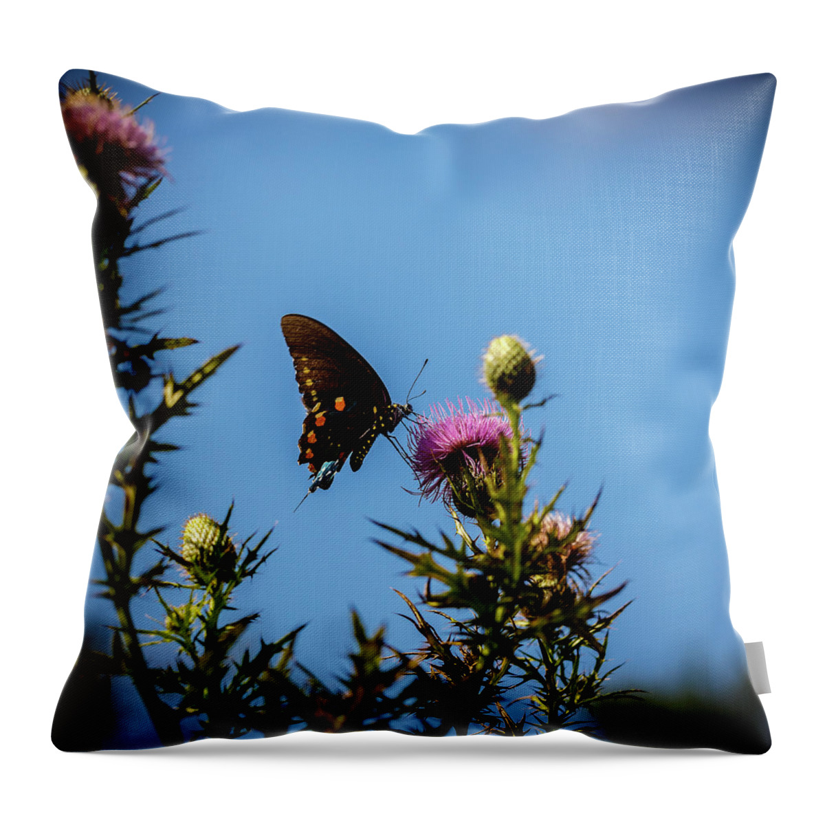 Butterfly Throw Pillow featuring the photograph Butterfly by David Beechum