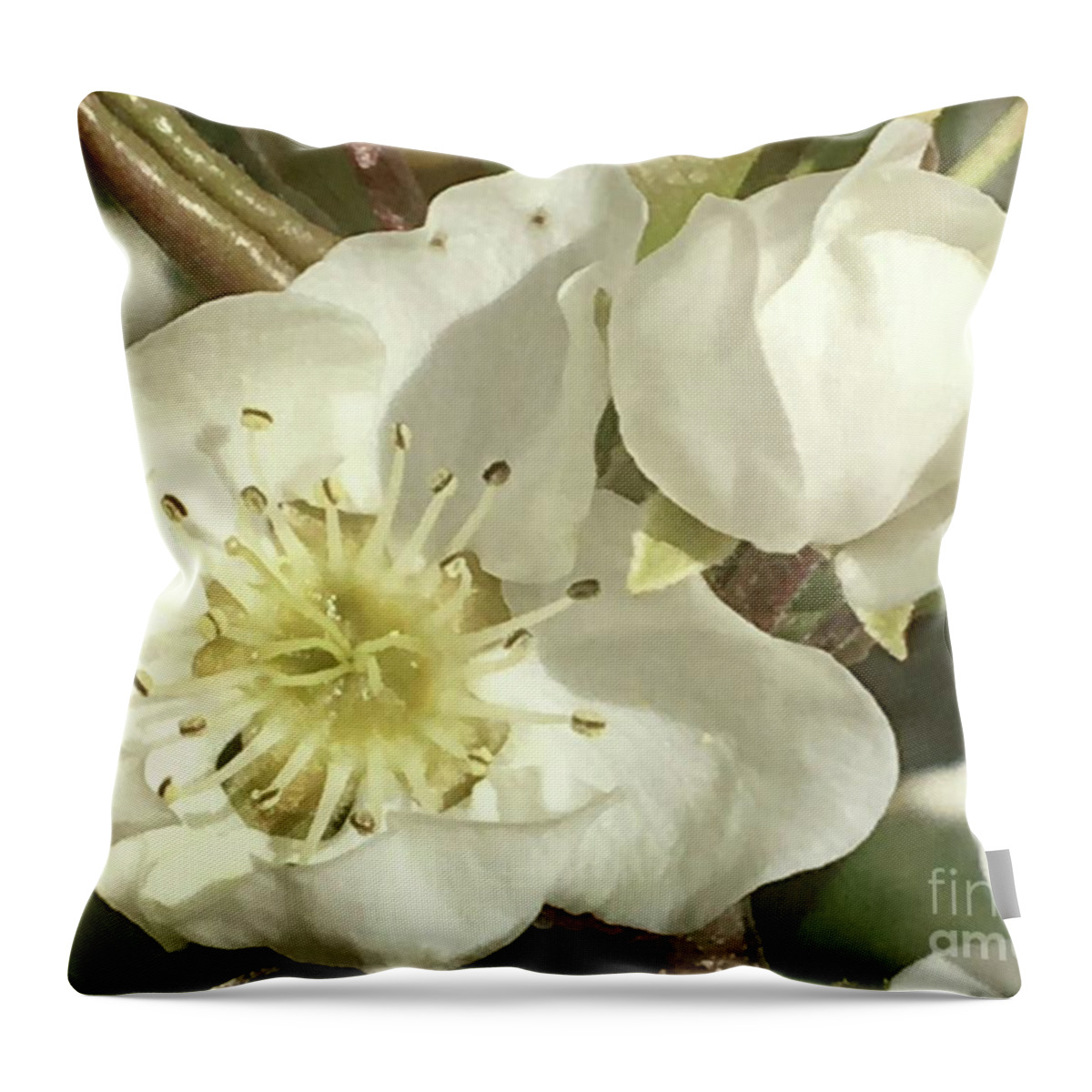 Pear Flowers Throw Pillow featuring the photograph Calm Observation by Carmen Lam