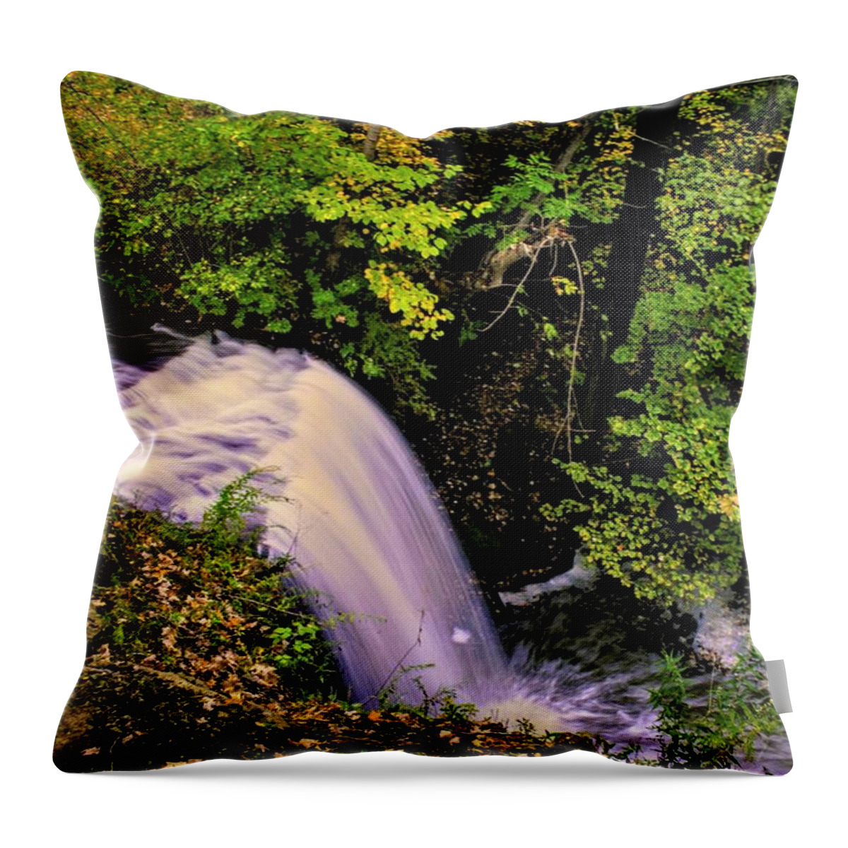  Throw Pillow featuring the photograph Crown Hill by Brad Nellis