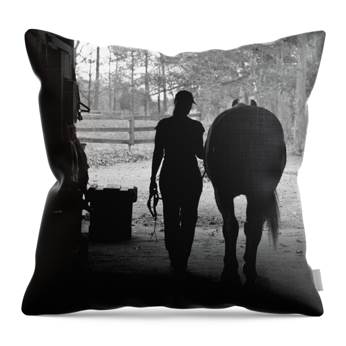 Horses Throw Pillow featuring the photograph Day's End by Minnie Gallman