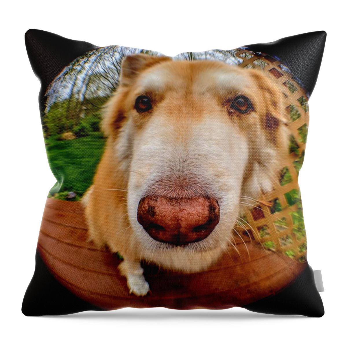  Throw Pillow featuring the photograph Extreme Closeup by Brad Nellis