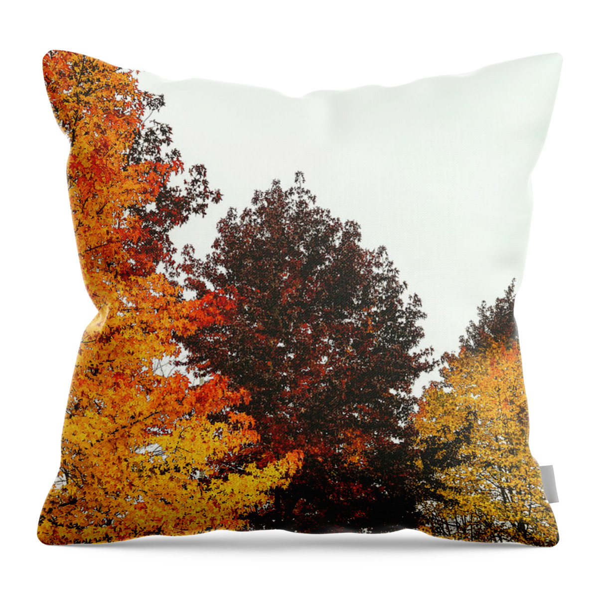 Trees Throw Pillow featuring the photograph Fall by Anamar Pictures