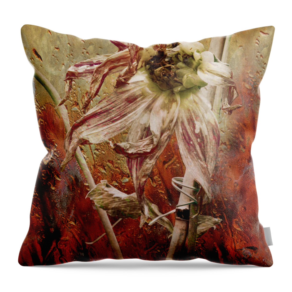 Dahlia Throw Pillow featuring the photograph Given Natures by Cynthia Dickinson