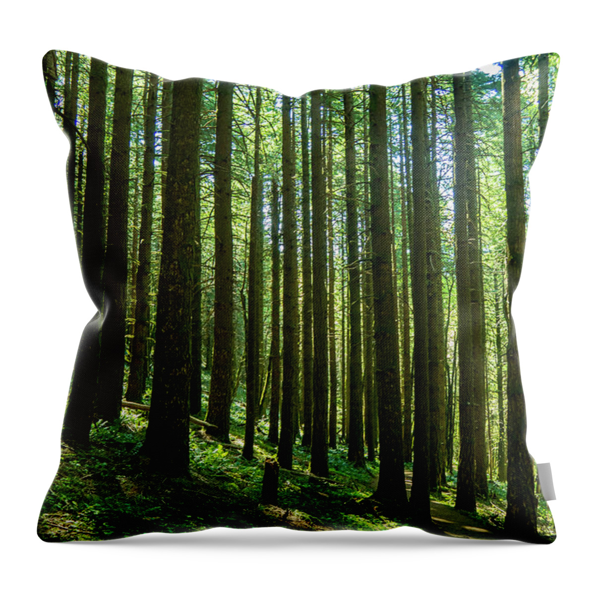 Columbia River Gorge Throw Pillow featuring the photograph Go Take A Hike by Leslie Struxness