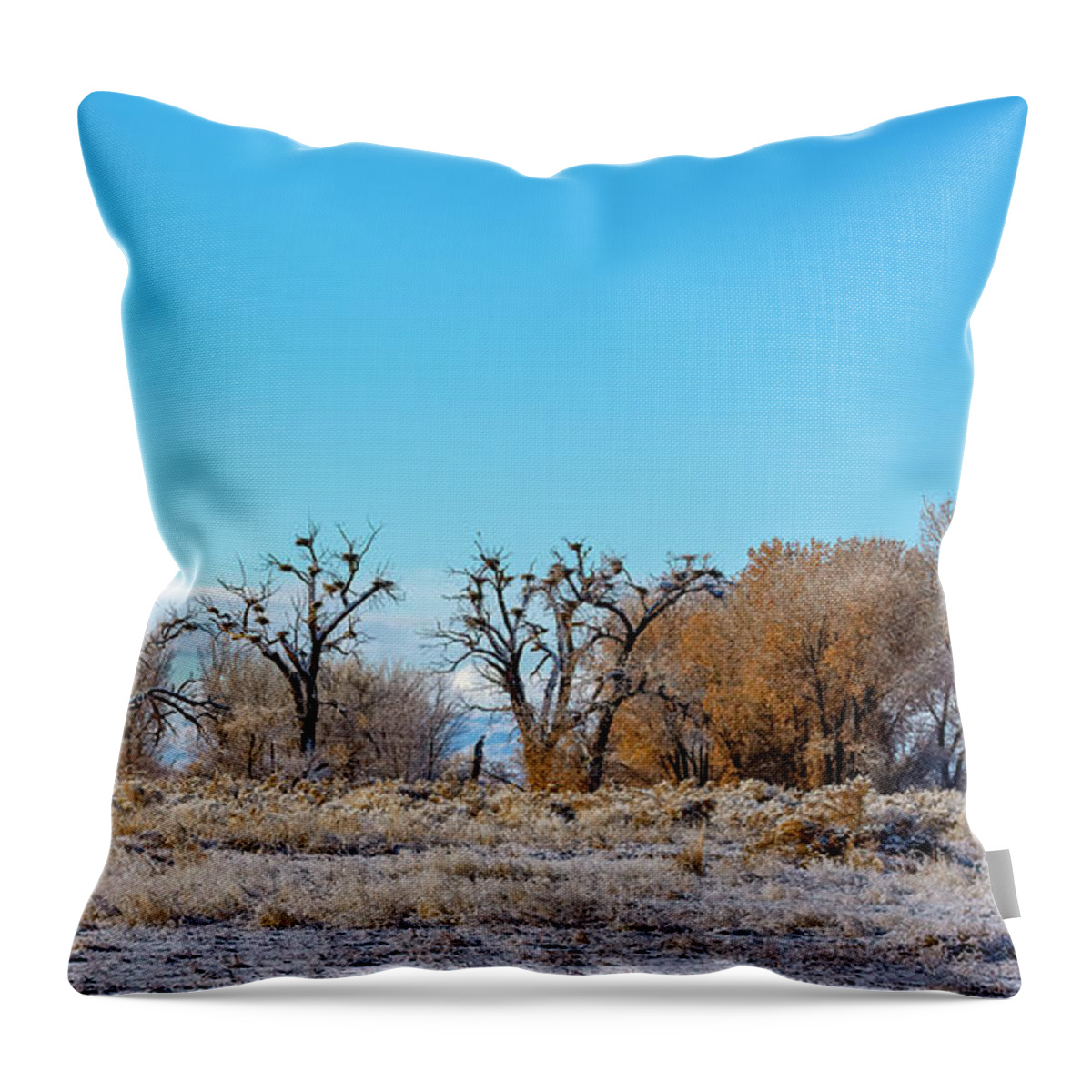 Rookery Throw Pillow featuring the photograph Great Blue Heron Rookery 2 by Rick Mosher