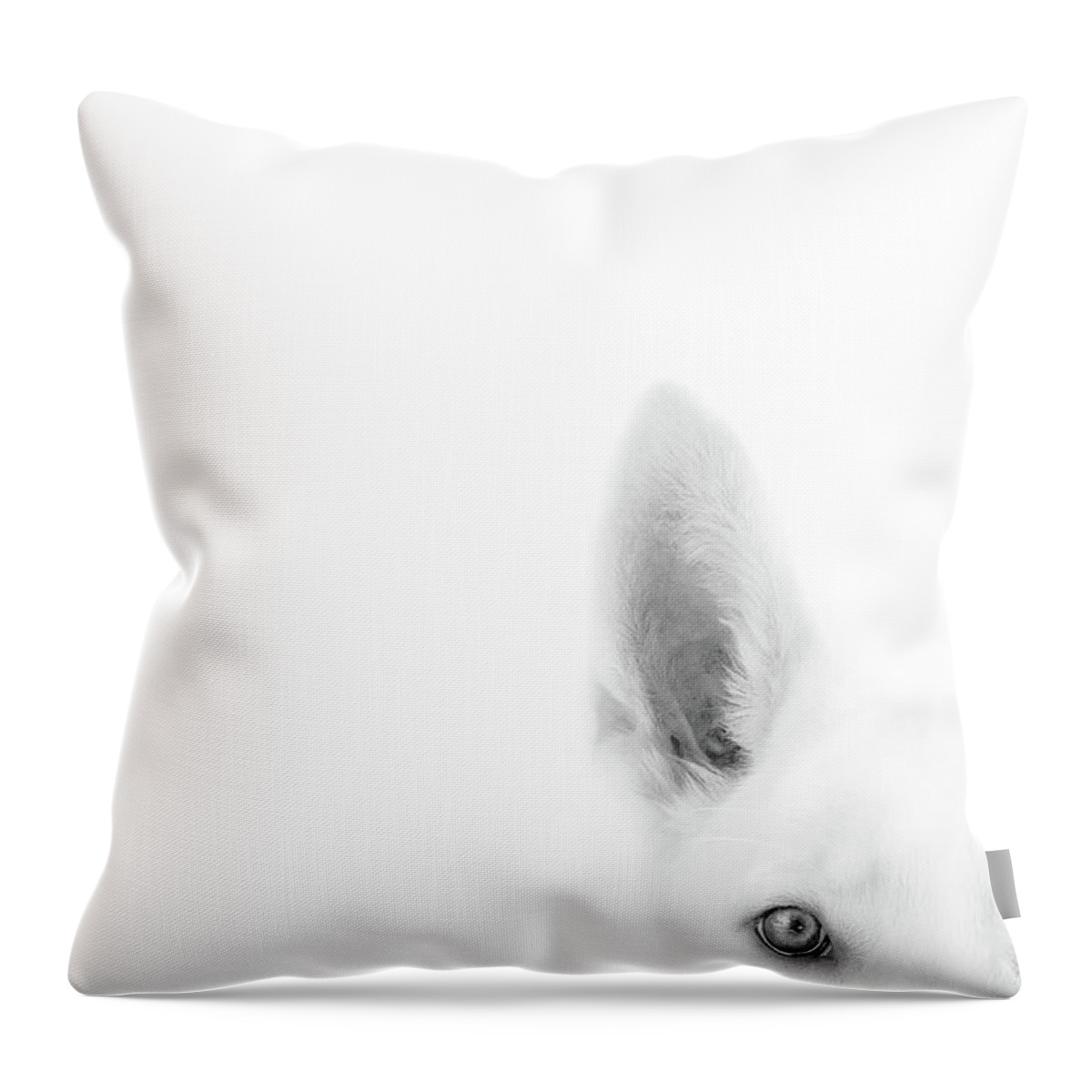Dog Throw Pillow featuring the photograph I'm Listening #1 by Ghostwinds Photography