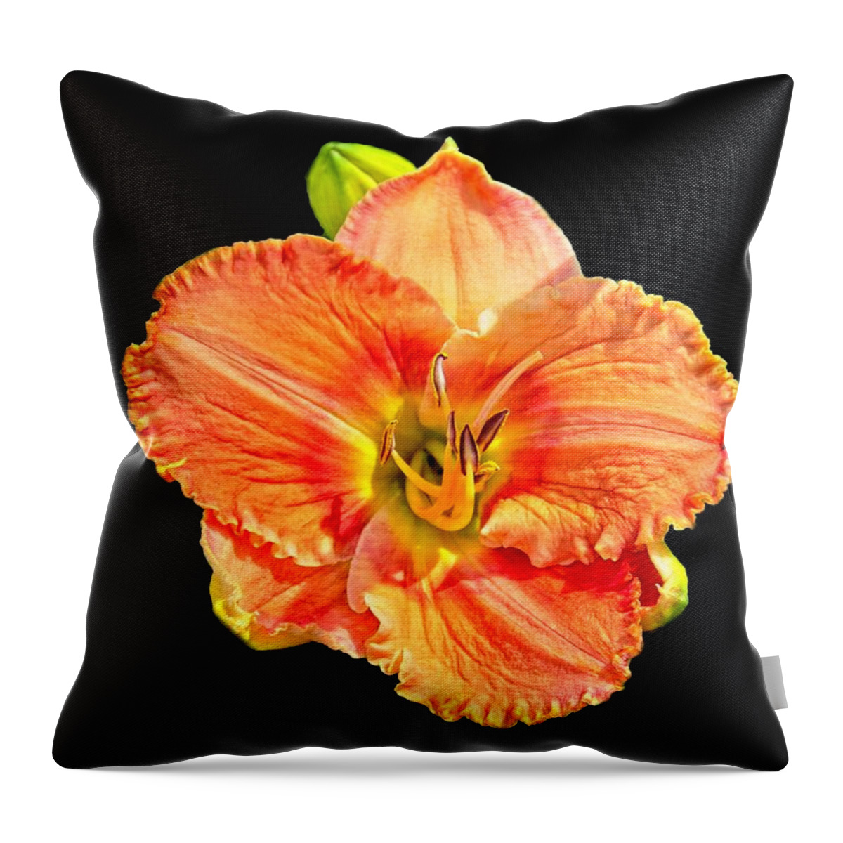 Lily Throw Pillow featuring the photograph Lily on Black by Allen Nice-Webb
