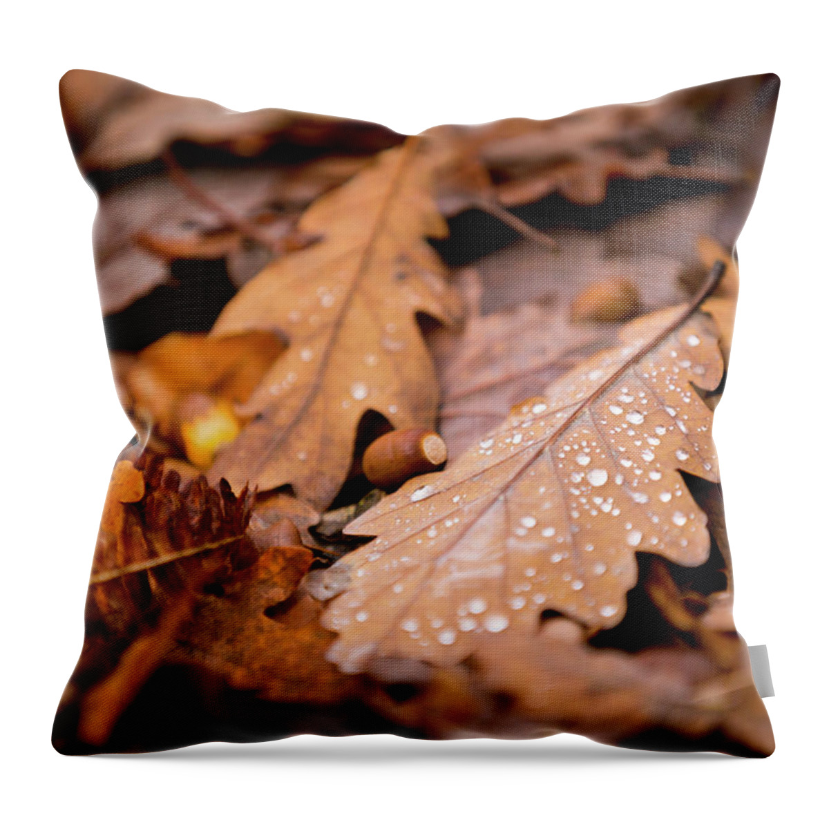 Fall Throw Pillow featuring the photograph Oak Leaves and rain drops by Anita Nicholson