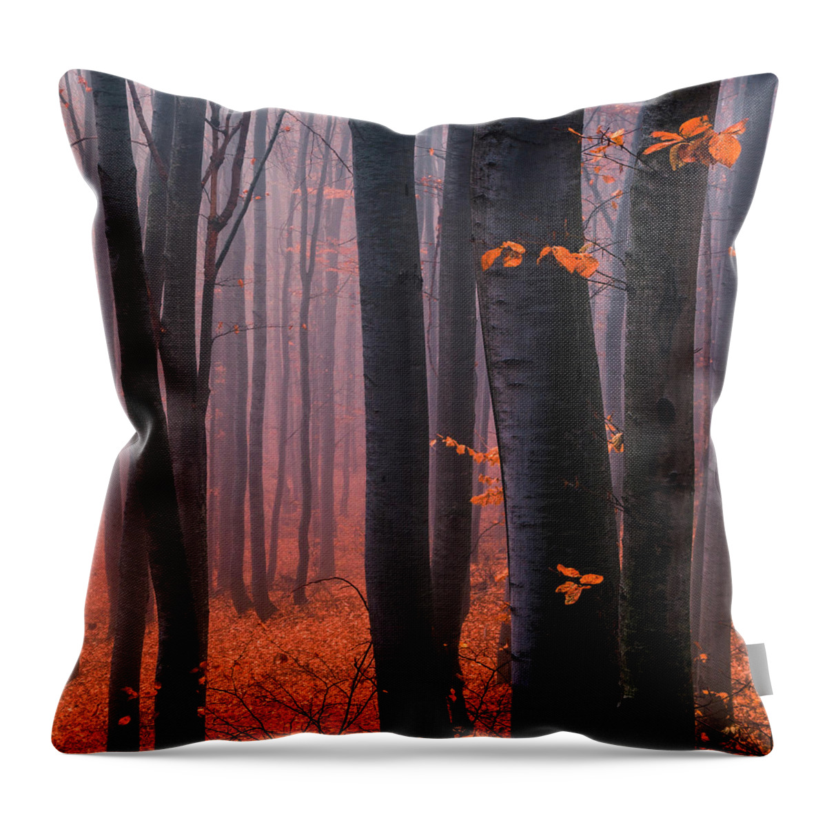Mountain Throw Pillow featuring the photograph Orange Wood by Evgeni Dinev