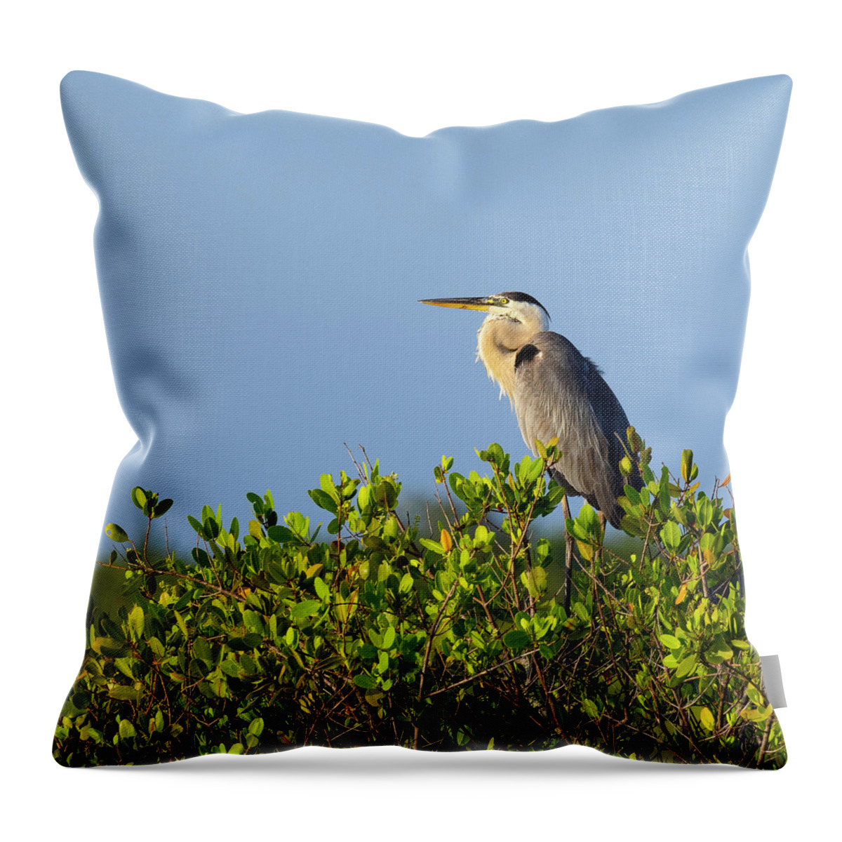 R5-2618 Throw Pillow featuring the photograph Perched by Gordon Elwell