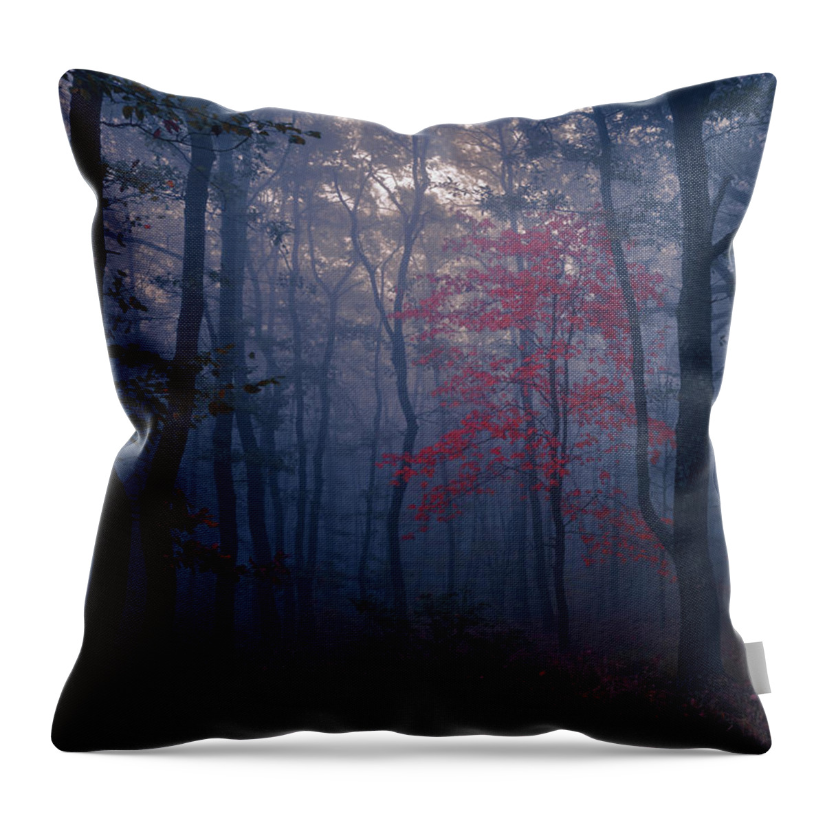 Balkan Mountains Throw Pillow featuring the photograph Red Tree by Evgeni Dinev