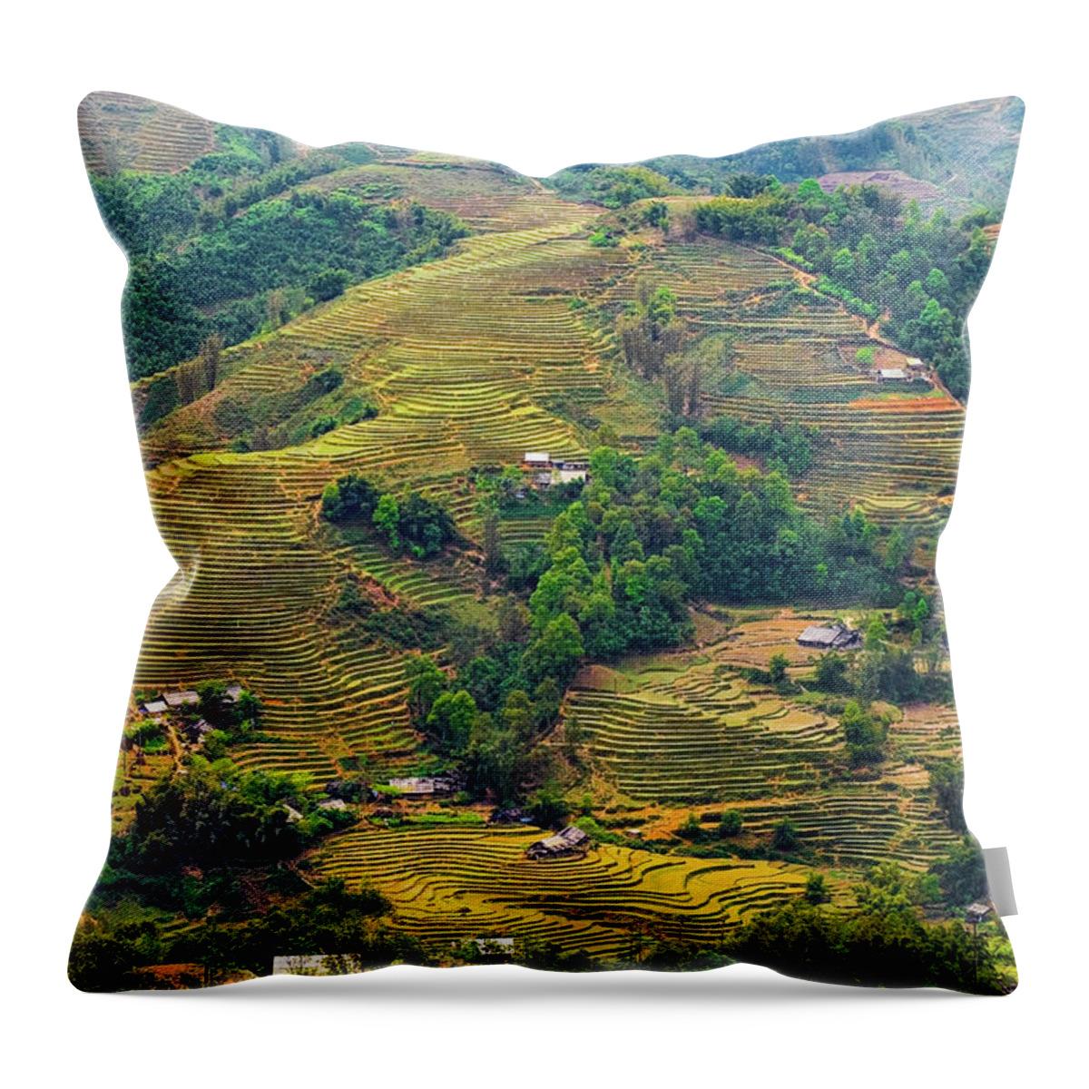Black Throw Pillow featuring the photograph Rice Terraces in Sapa by Arj Munoz