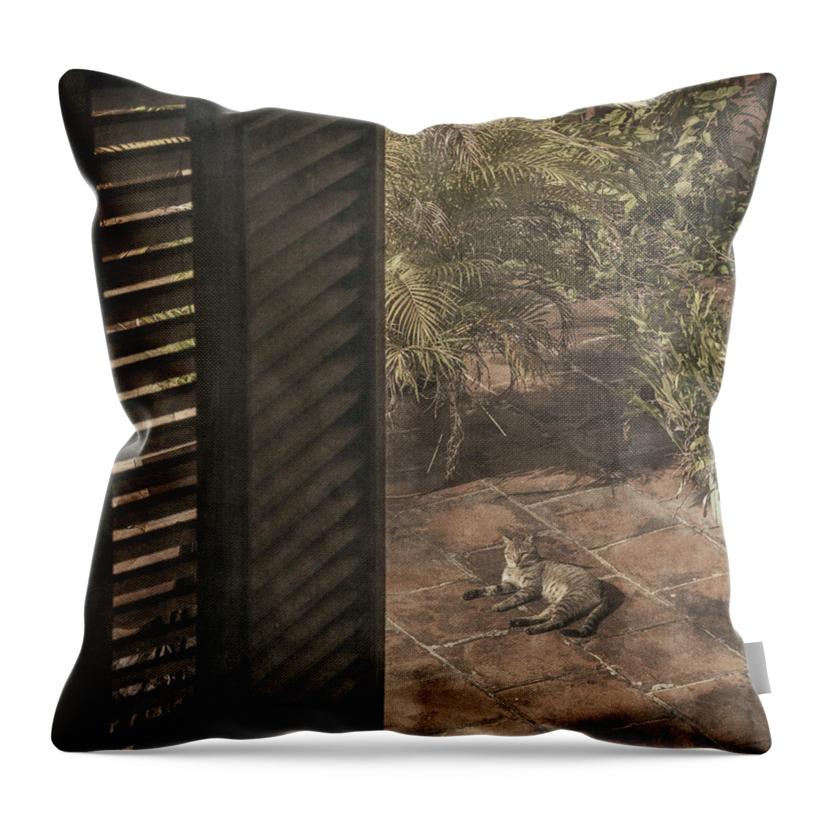 Cat Throw Pillow featuring the photograph Royalty by M Kathleen Warren