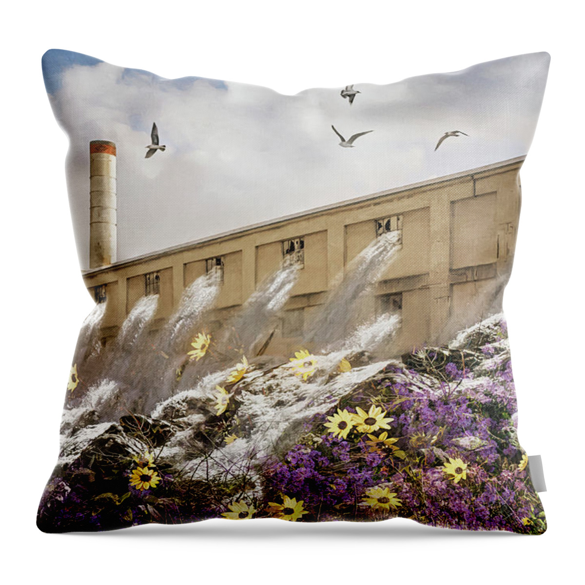 Water Throw Pillow featuring the photograph Rushing Waters by Shara Abel