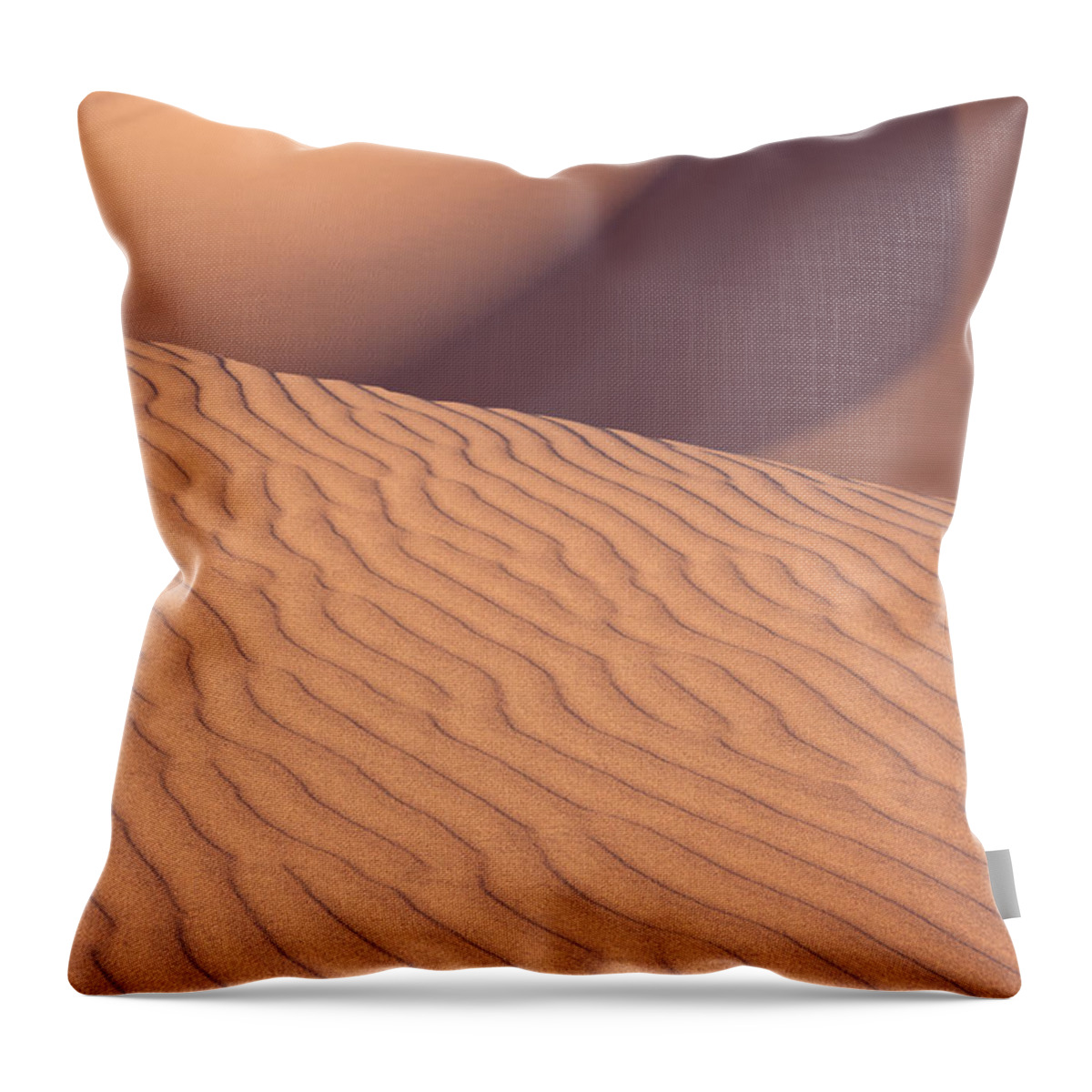 Sand Dunes Throw Pillow featuring the photograph Sand Dune with Movement by Peter Boehringer